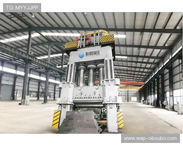 欧博ABG官网代理合作的优势与未来发展趋势全面解读