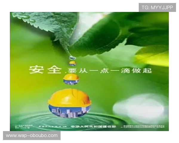 欧博会员官方登录入口安全验证技巧，提升账号安全防护能力的实用指南