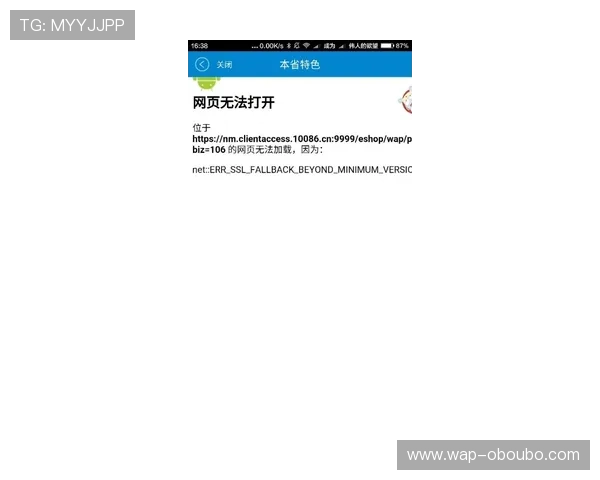 欧博登录入口无法进入的常见原因及用户应采取的应对策略