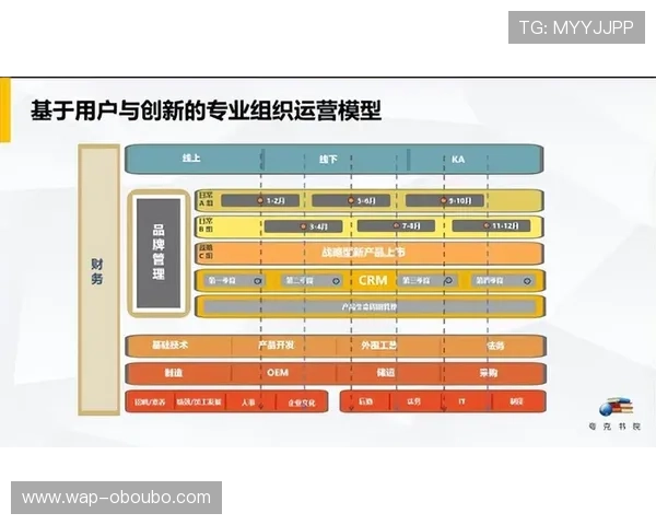 欧博管理流程标准化建设与流程再造的创新方法